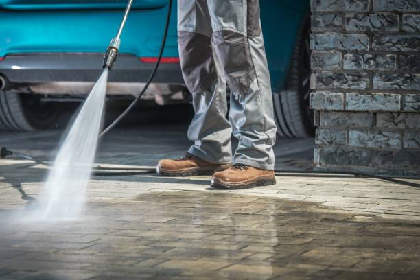 Best Window and Screen Pressure Cleaning in Zephyrhills South, FL