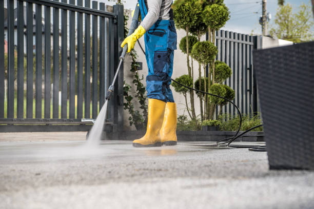 Best Vinyl Siding Pressure Washing in Zephyrhills South, FL